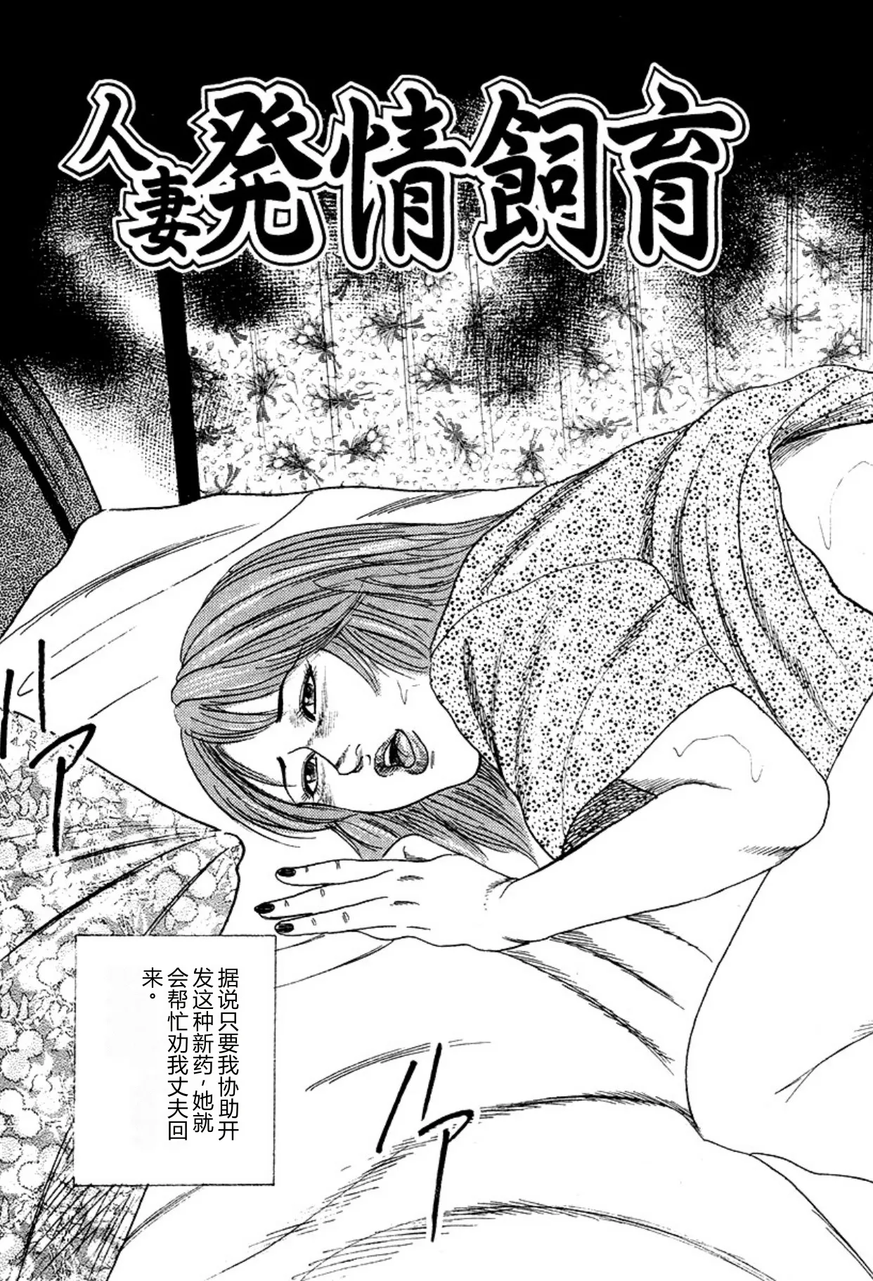 全集 81