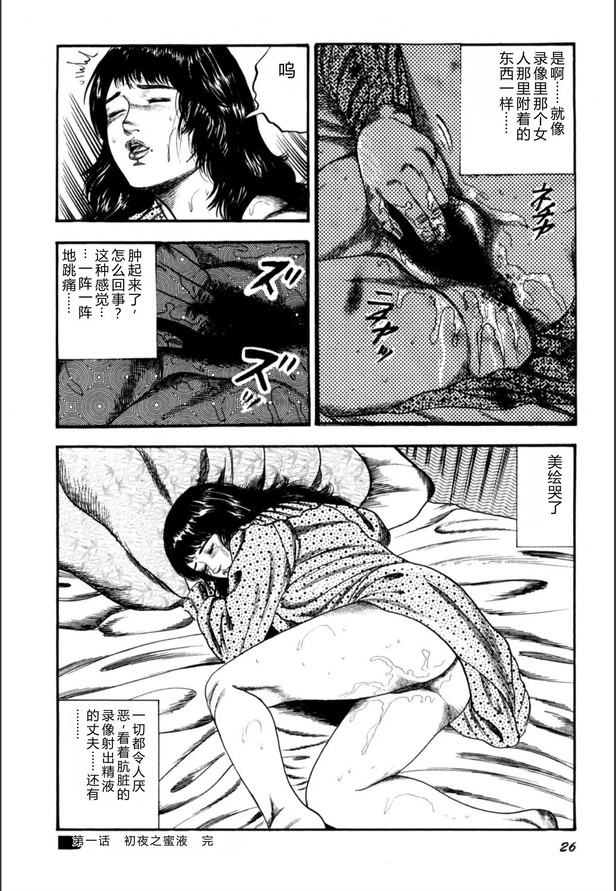 全集 28