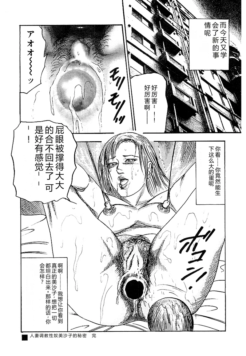 全集 43