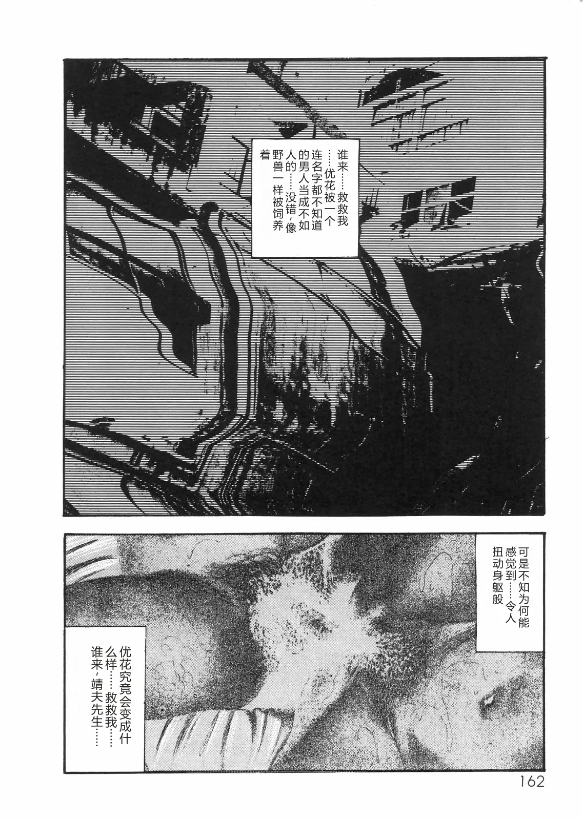 全集 142