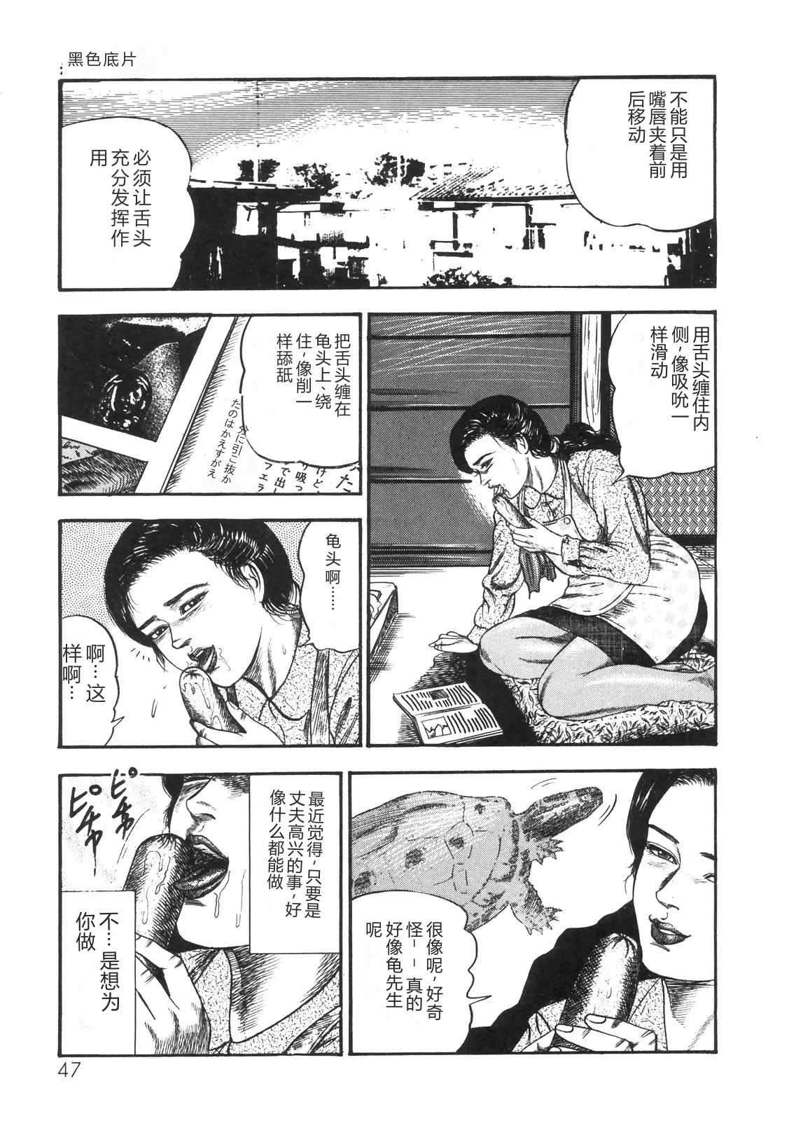 全集 41