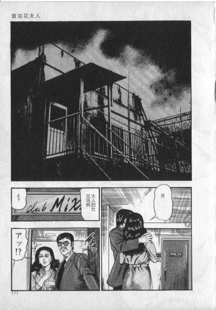 全集 113