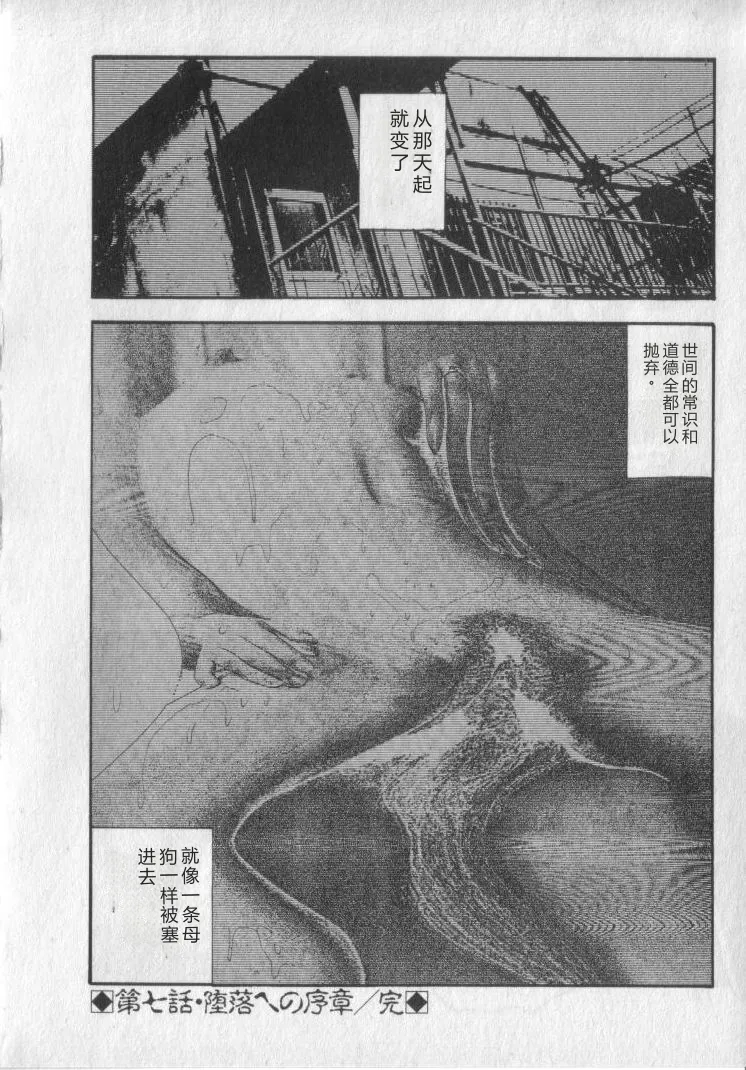 全集 142