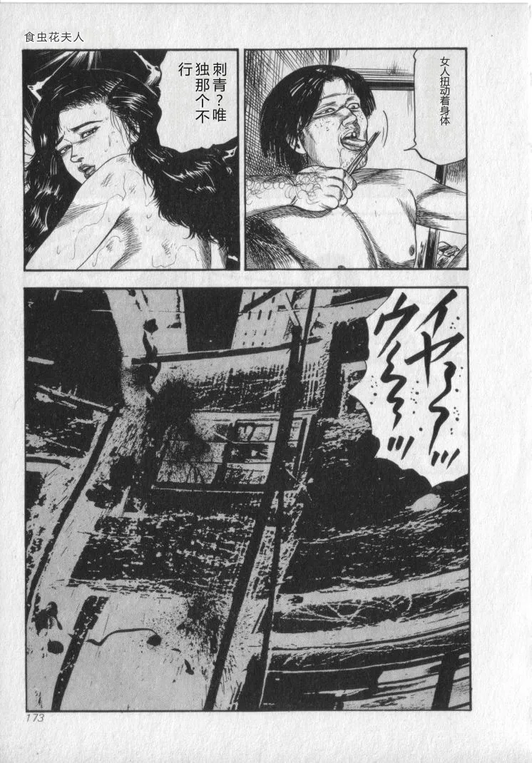全集 175