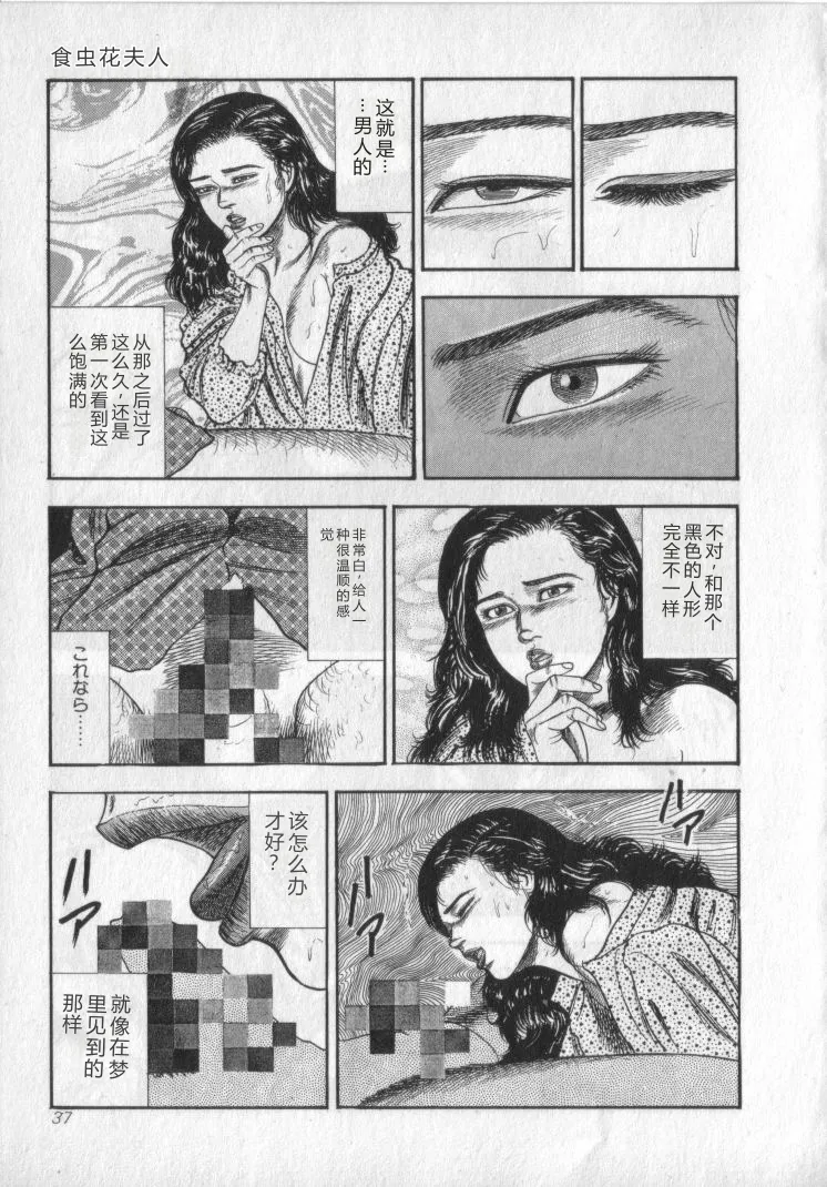 全集 39