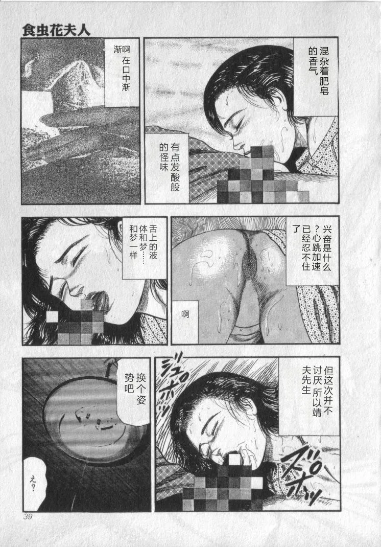全集 41