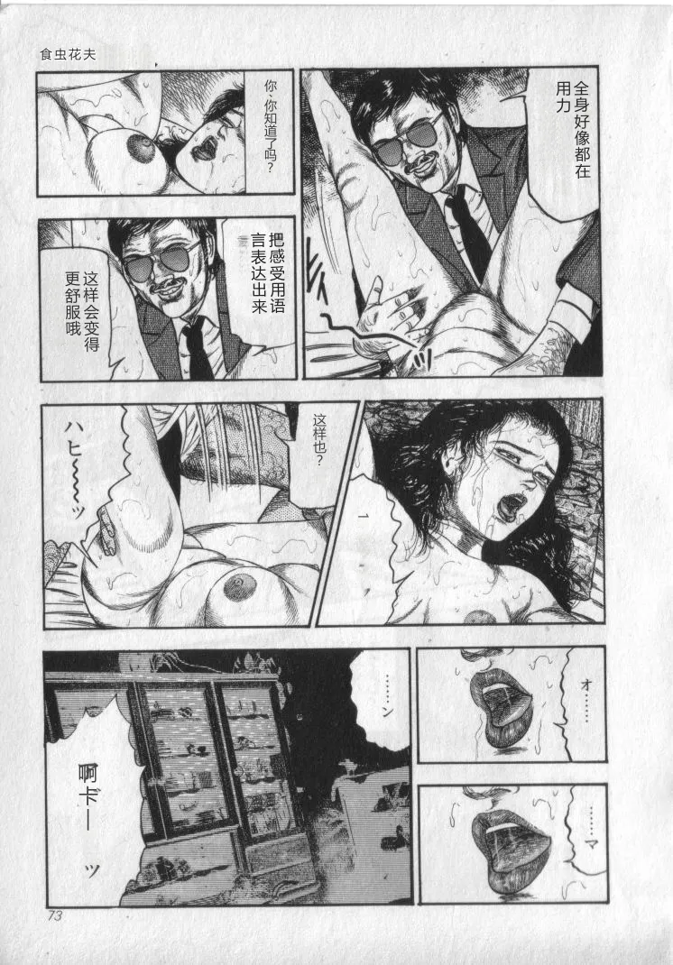 全集 75