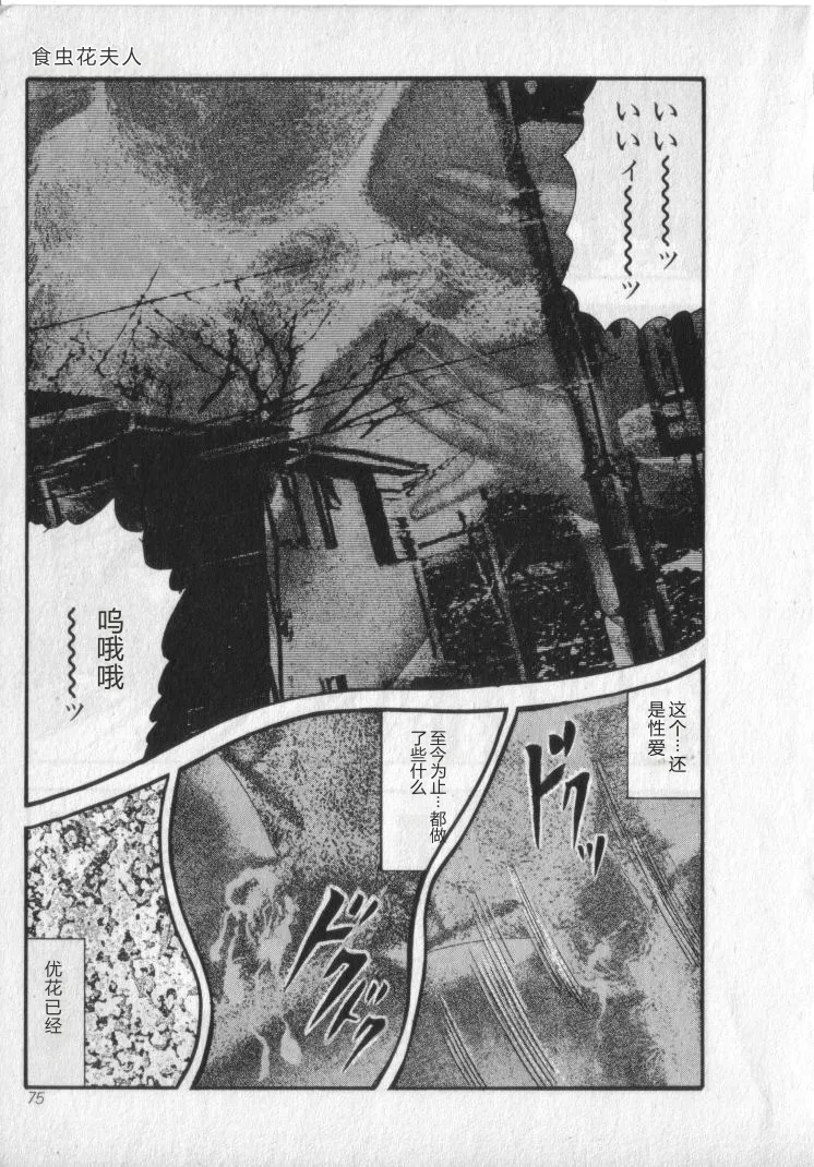 全集 77