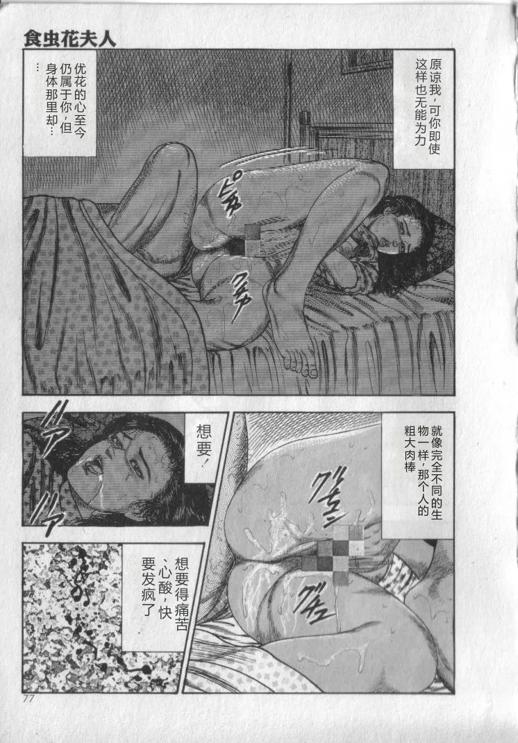全集 79