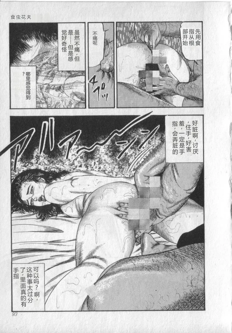 全集 95