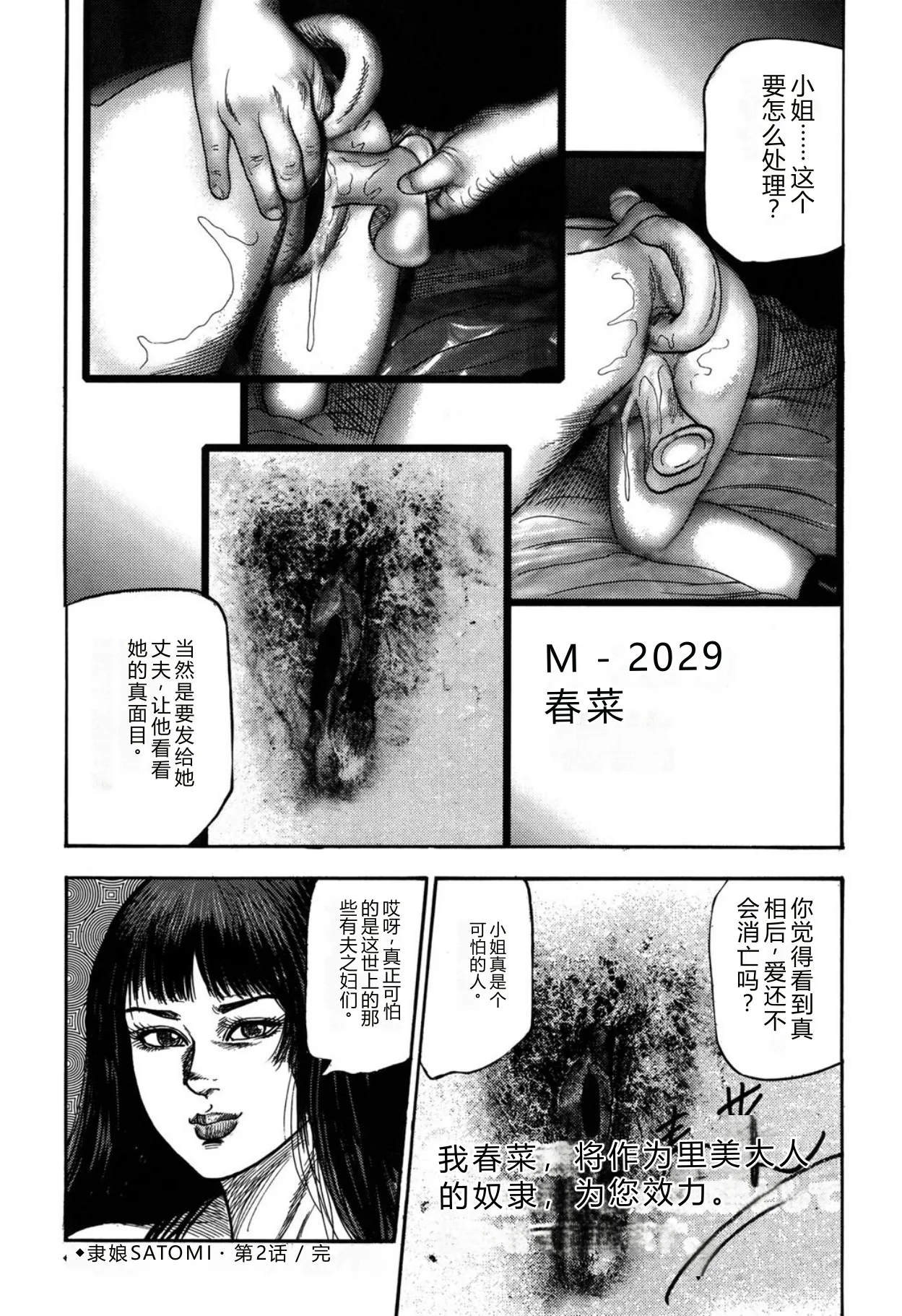 全集 42