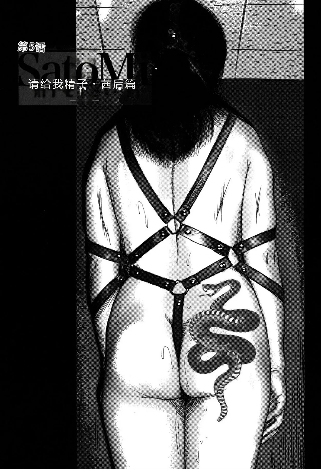 全集 79