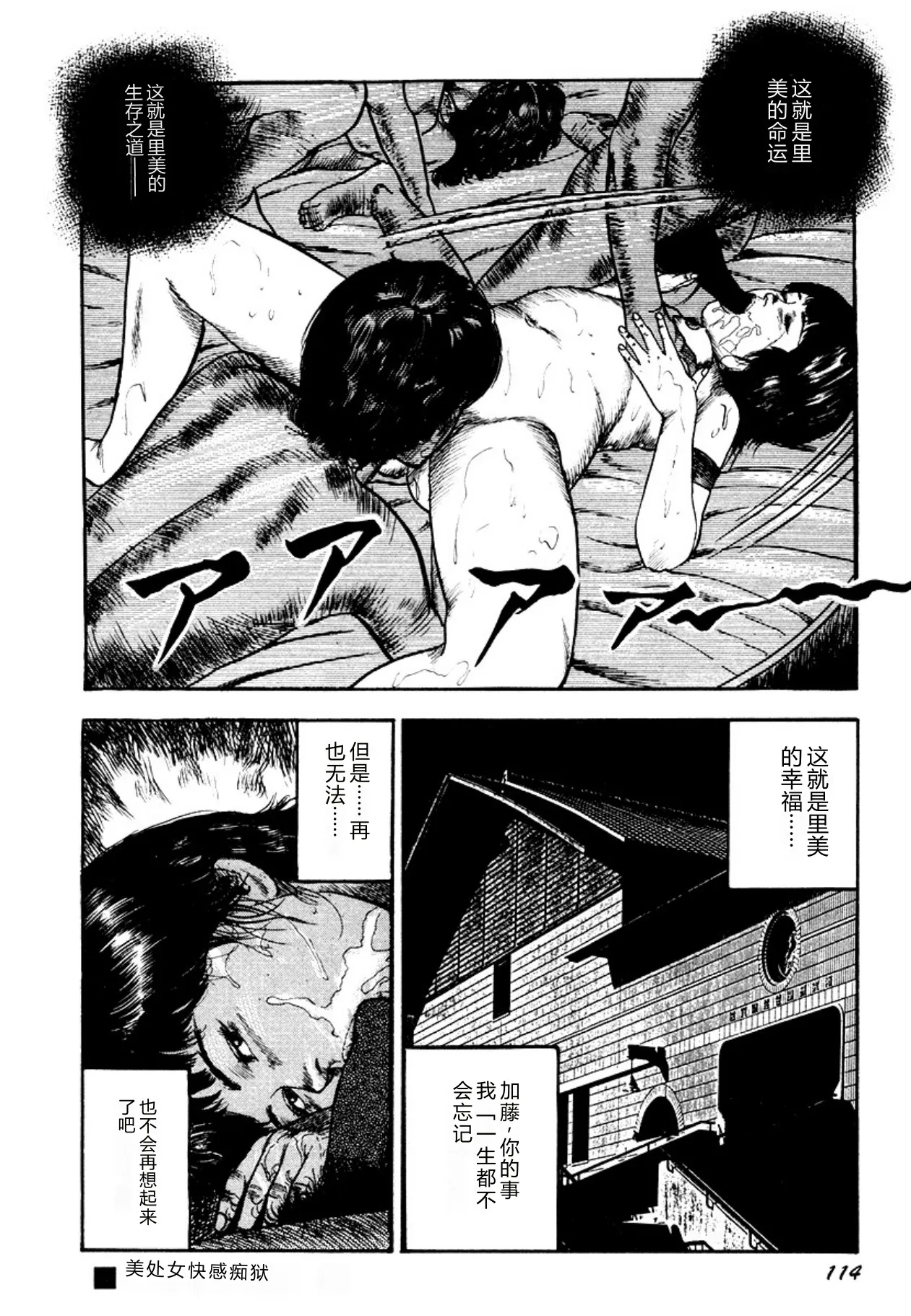 全集 114
