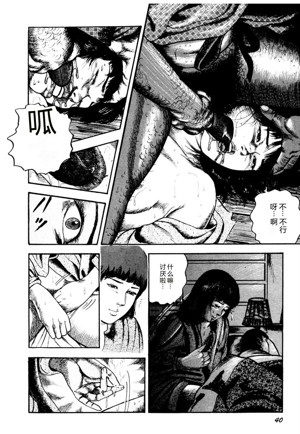 全集 40