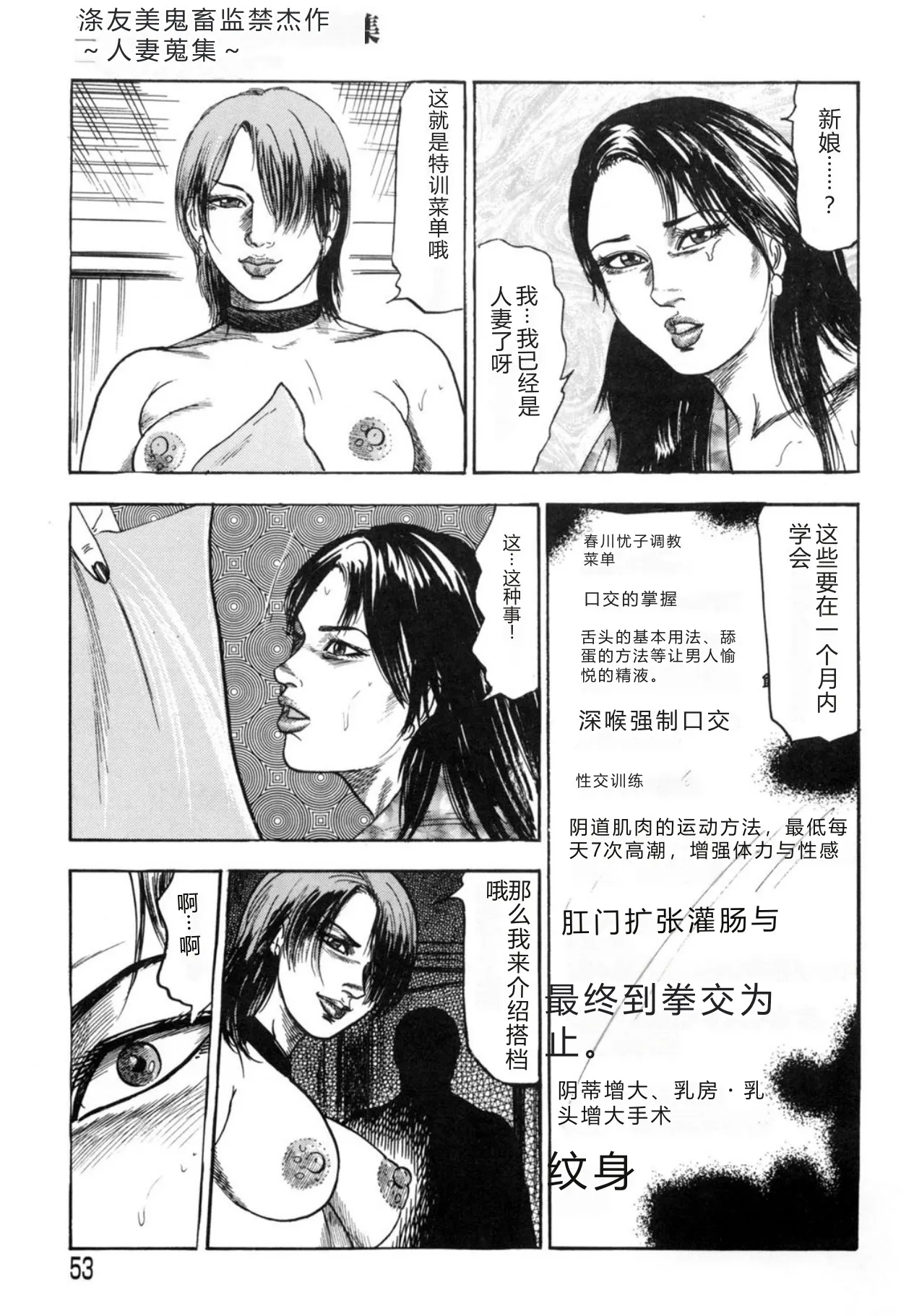 全集 53