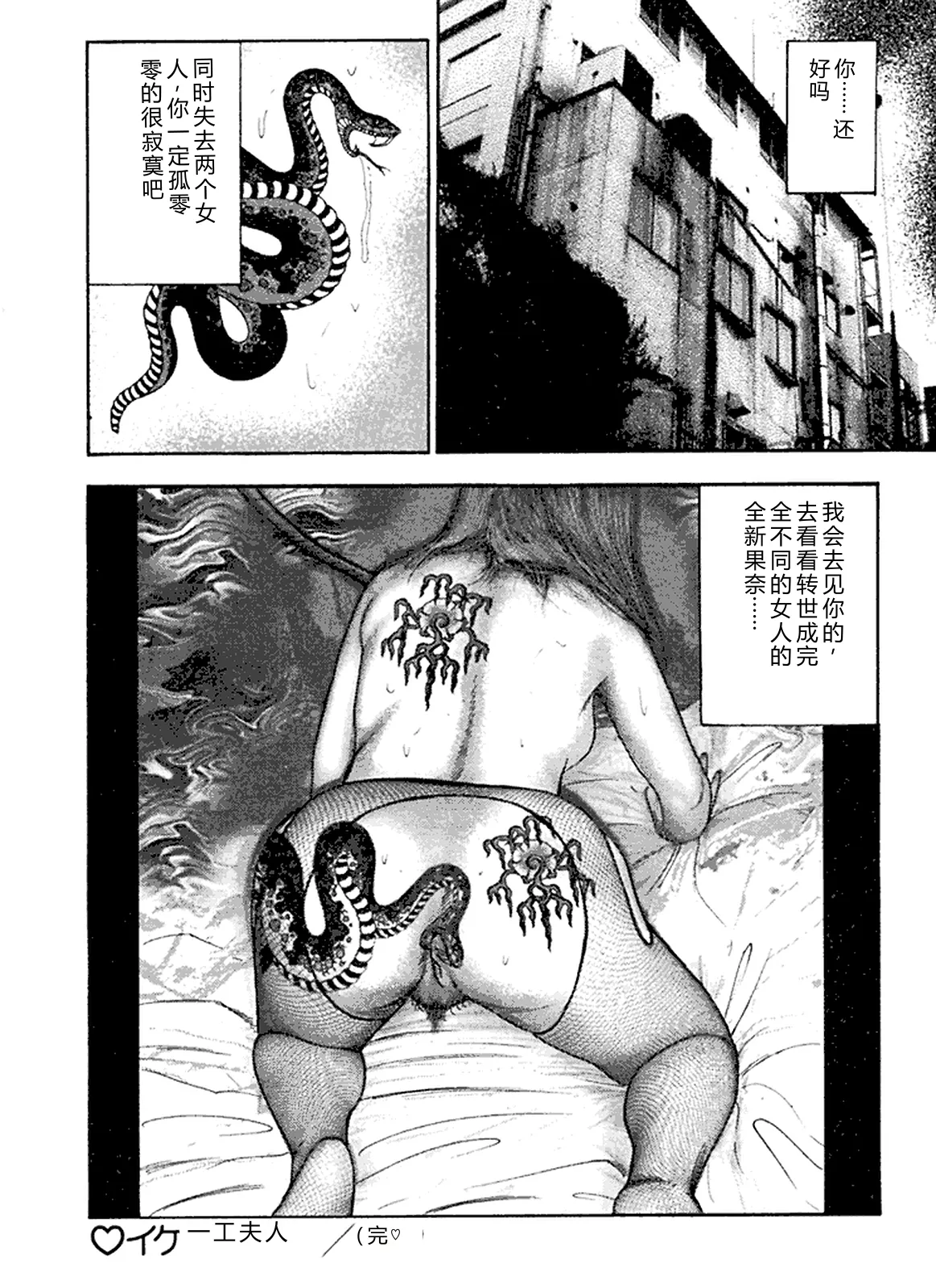 全集 41