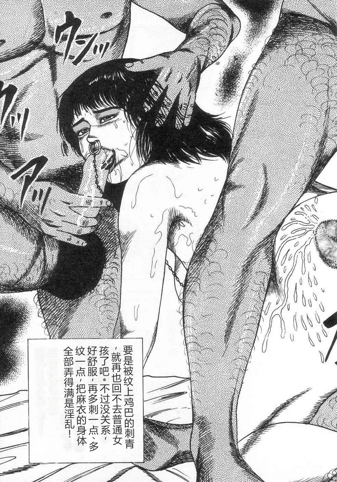 全集 46