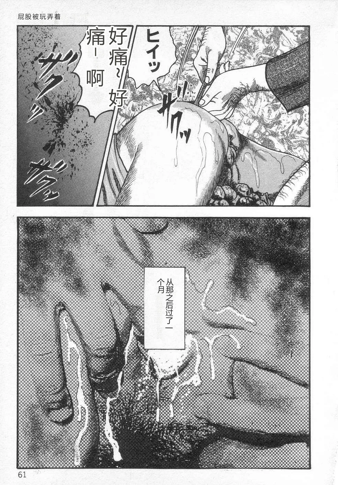 全集 66