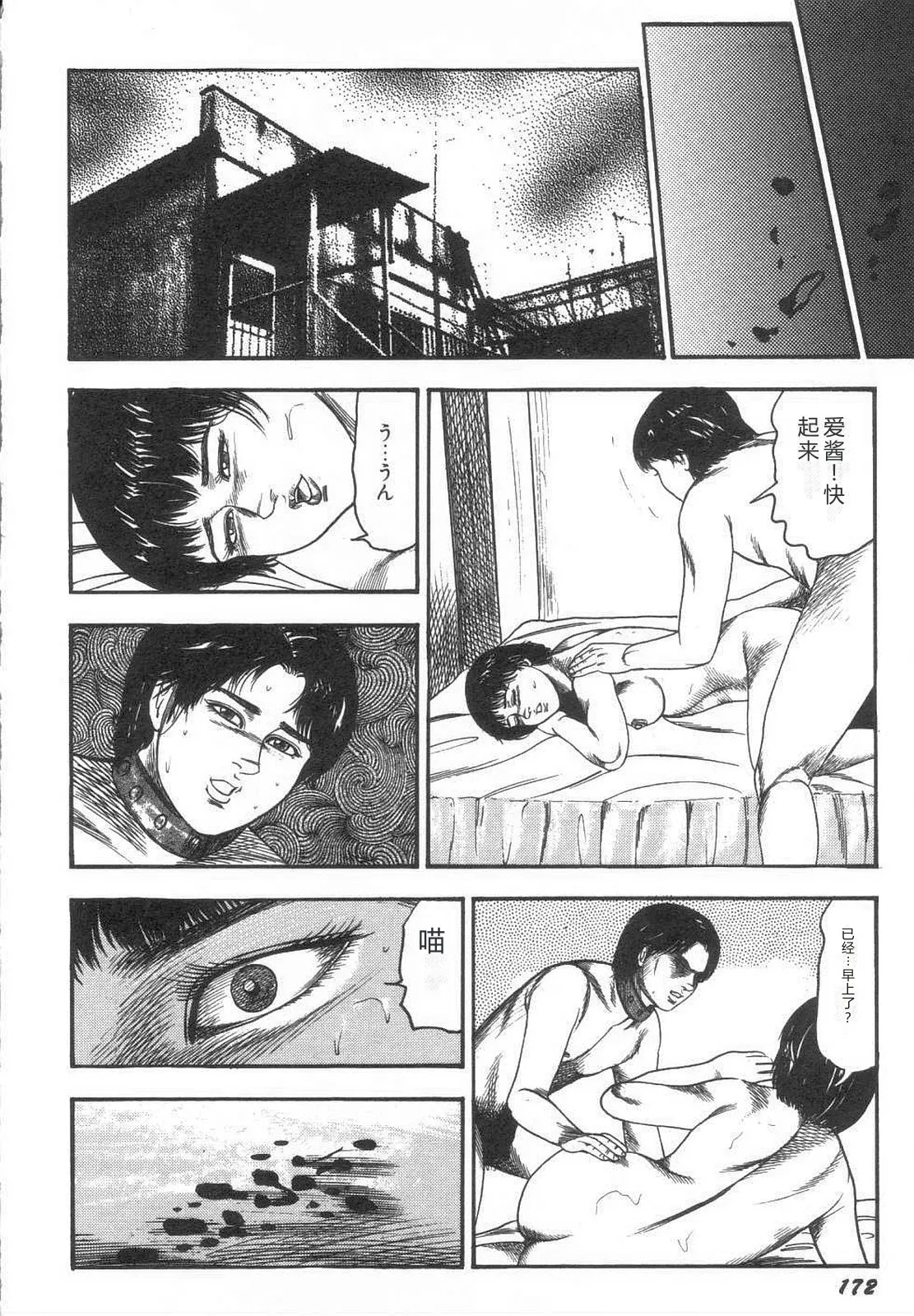 全集 177