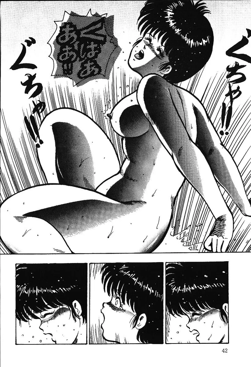 全集 41