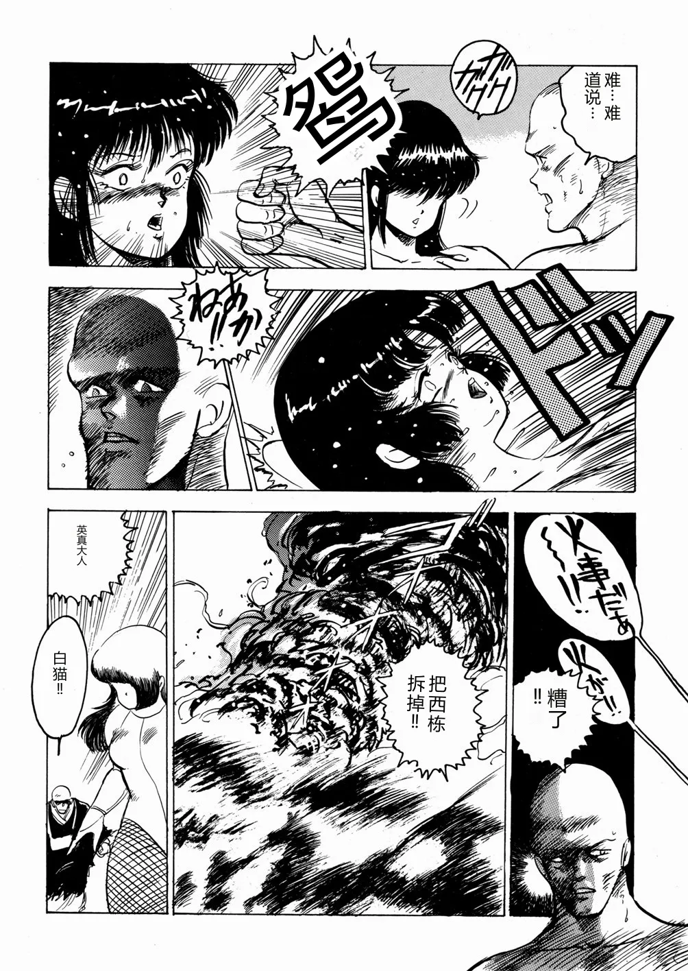 全集 95