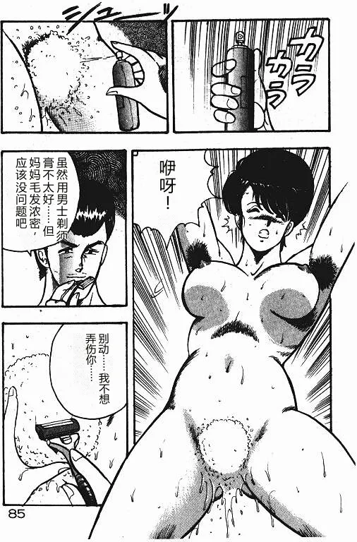 全集 84