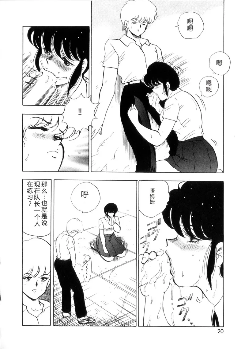 全集 19