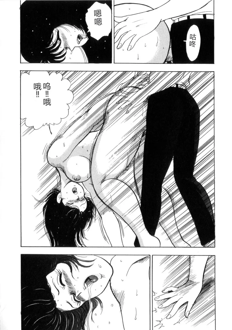 全集 43