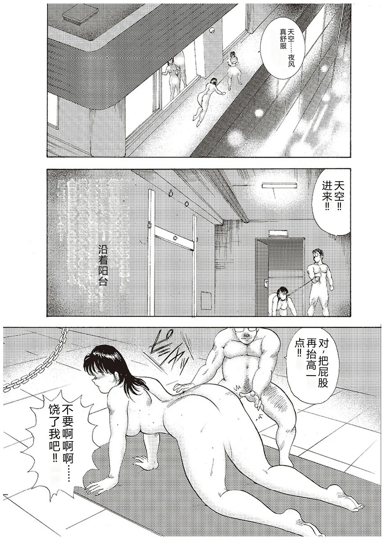 全集 46