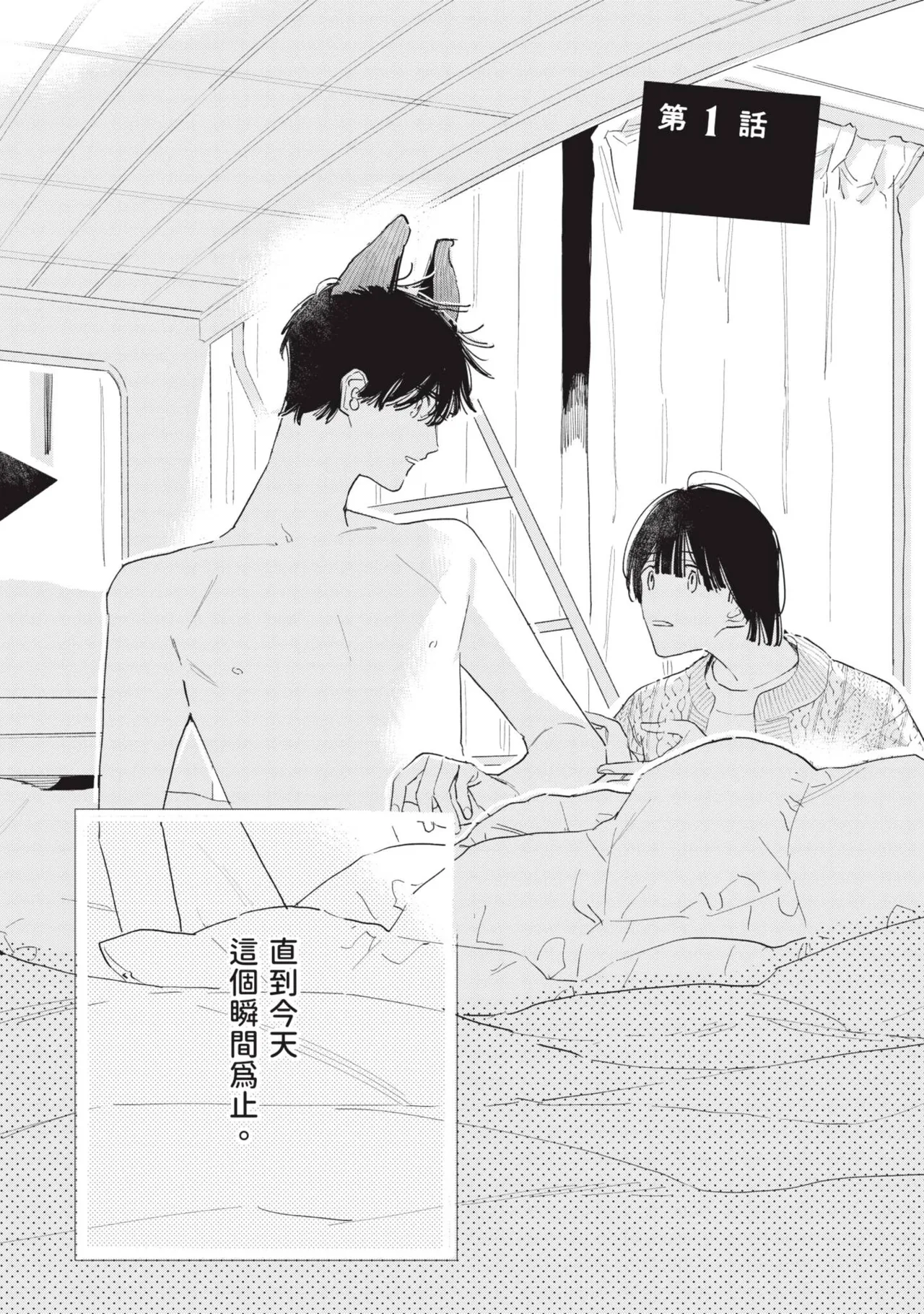全集 6