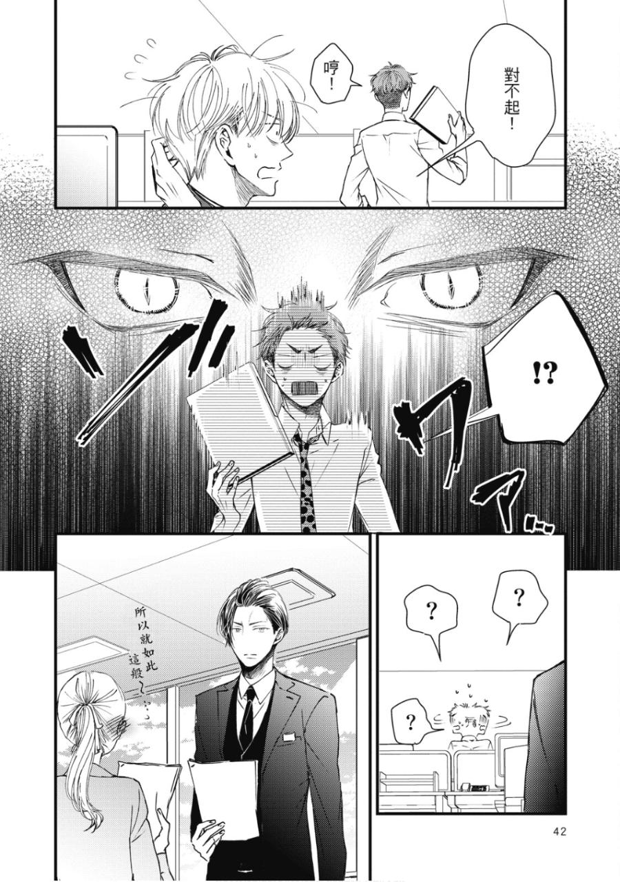 全集 41