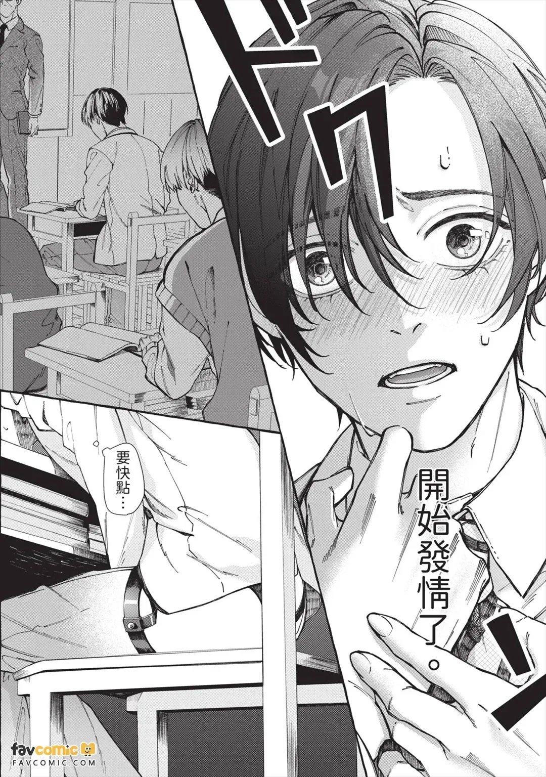 全集 5