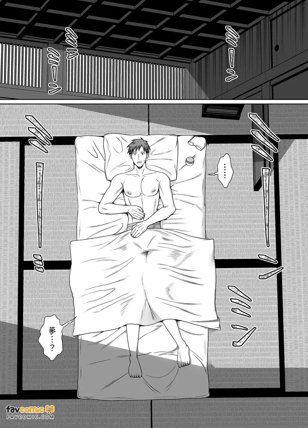 全集 41
