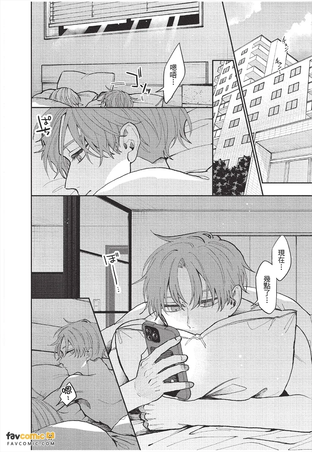 全集 43
