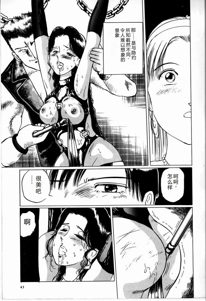 全集 49