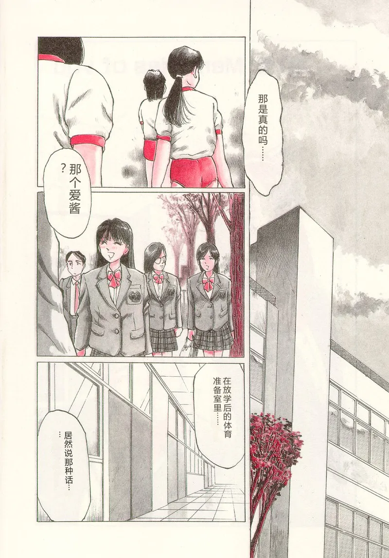 全集 6