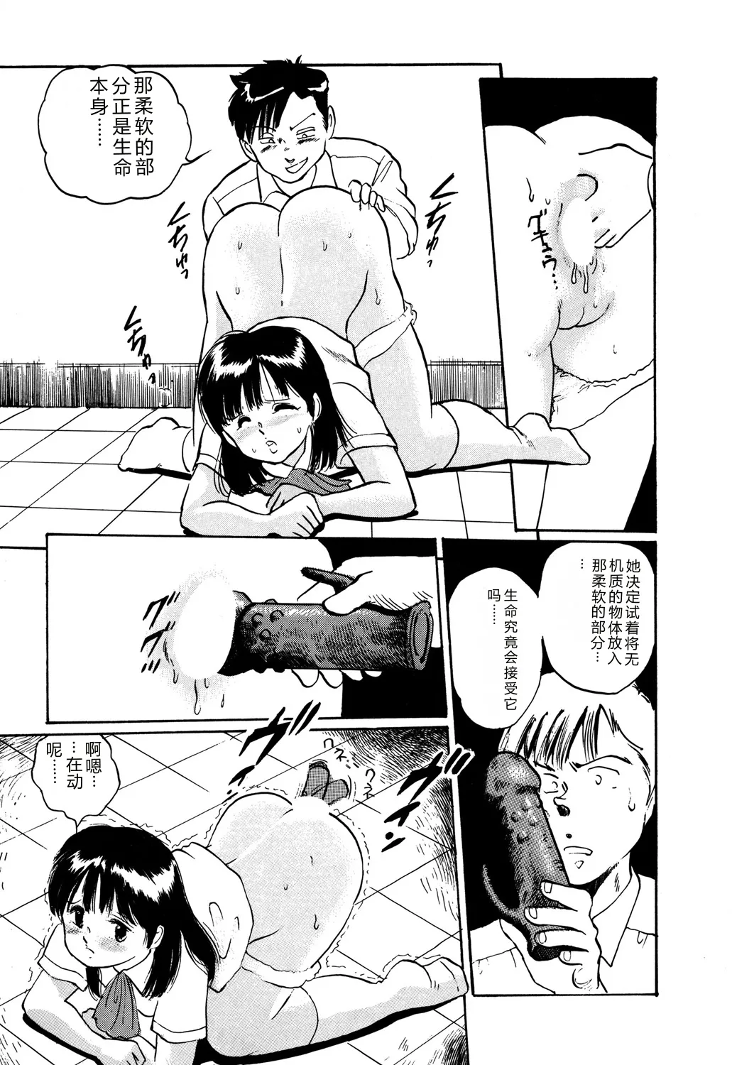 全集 81
