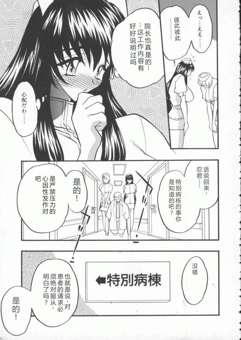 全集 31