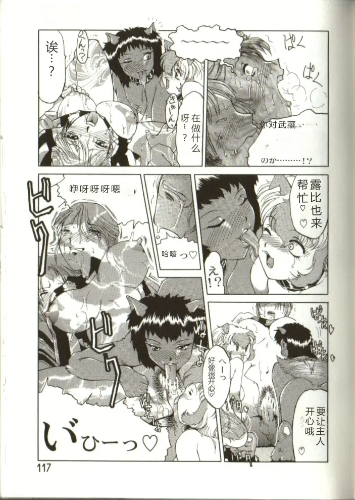 全集 116