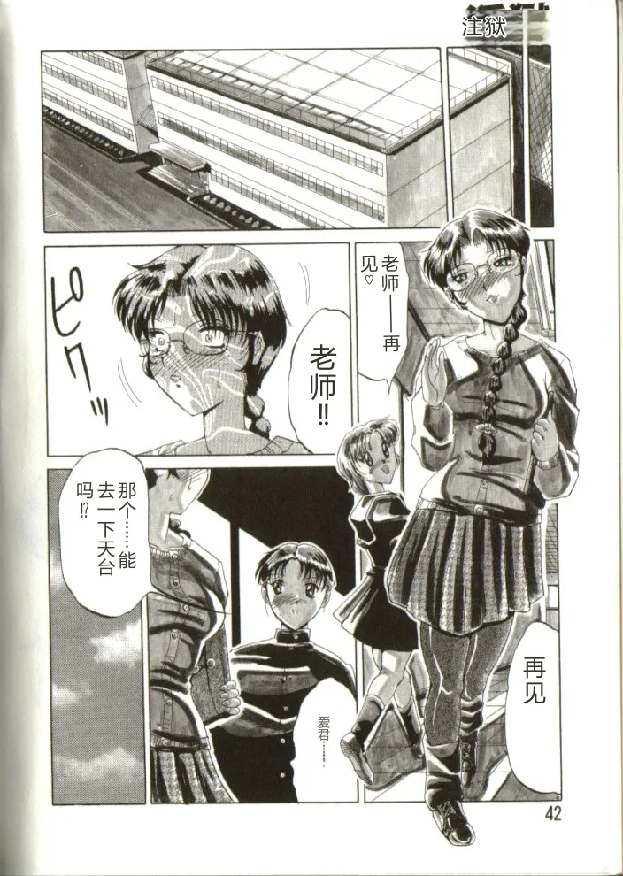 全集 41