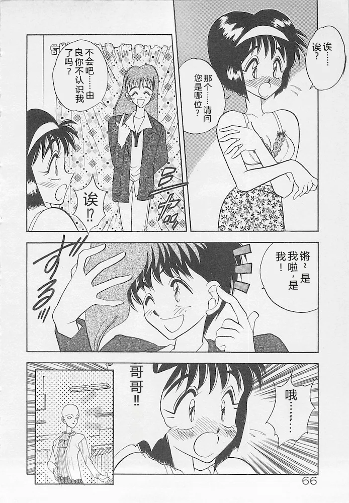 全集 66