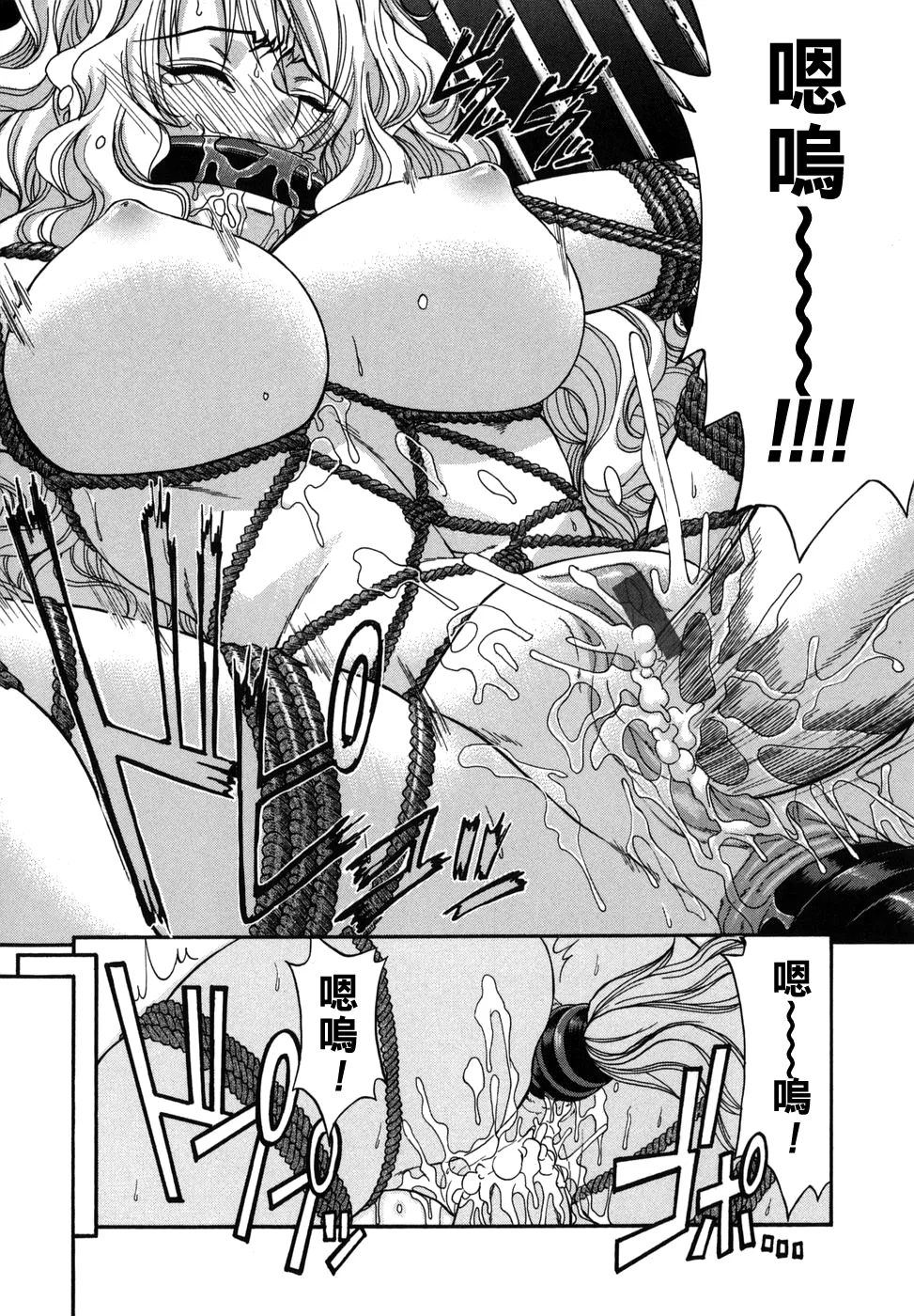 全集 56