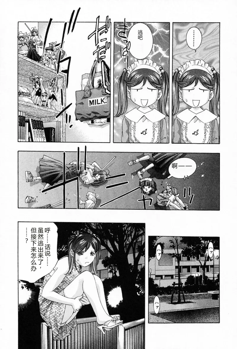 全集 13