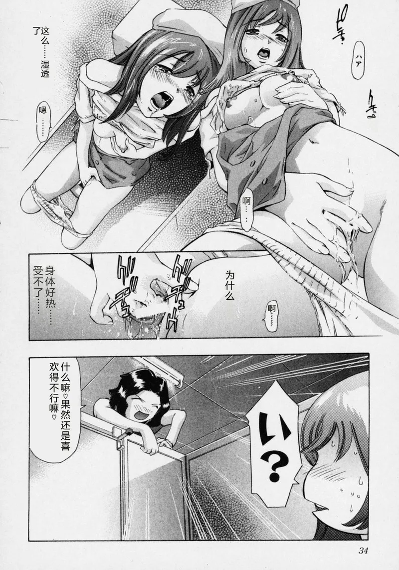 全集 40