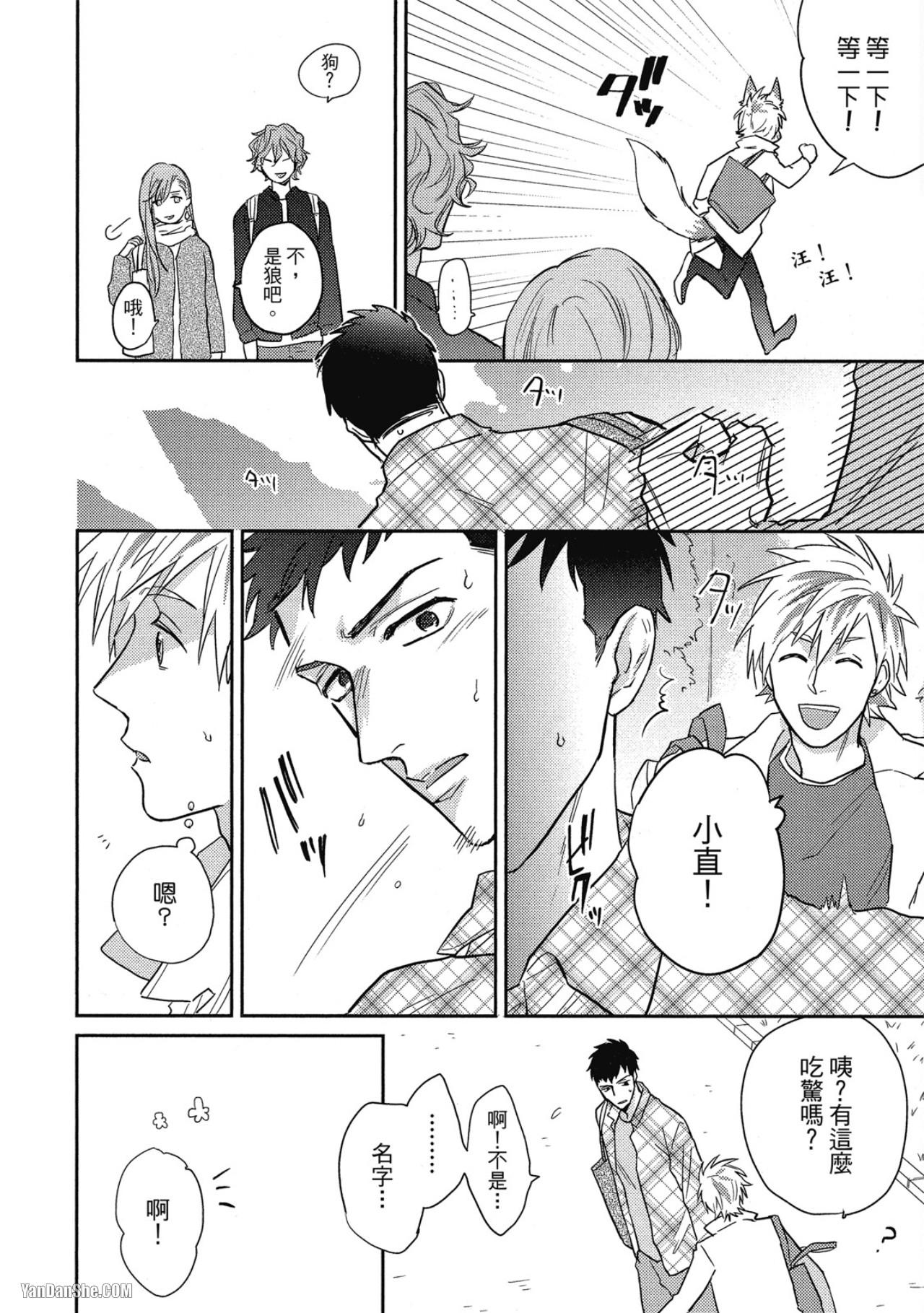 全集 19