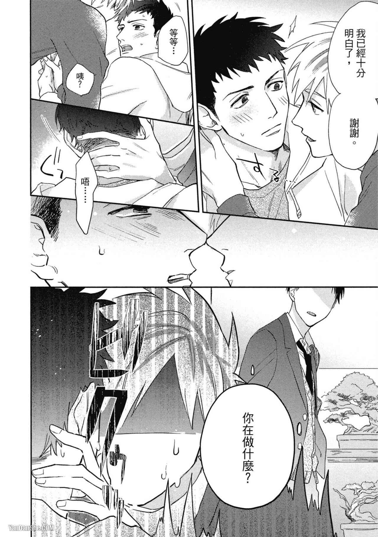 全集 43
