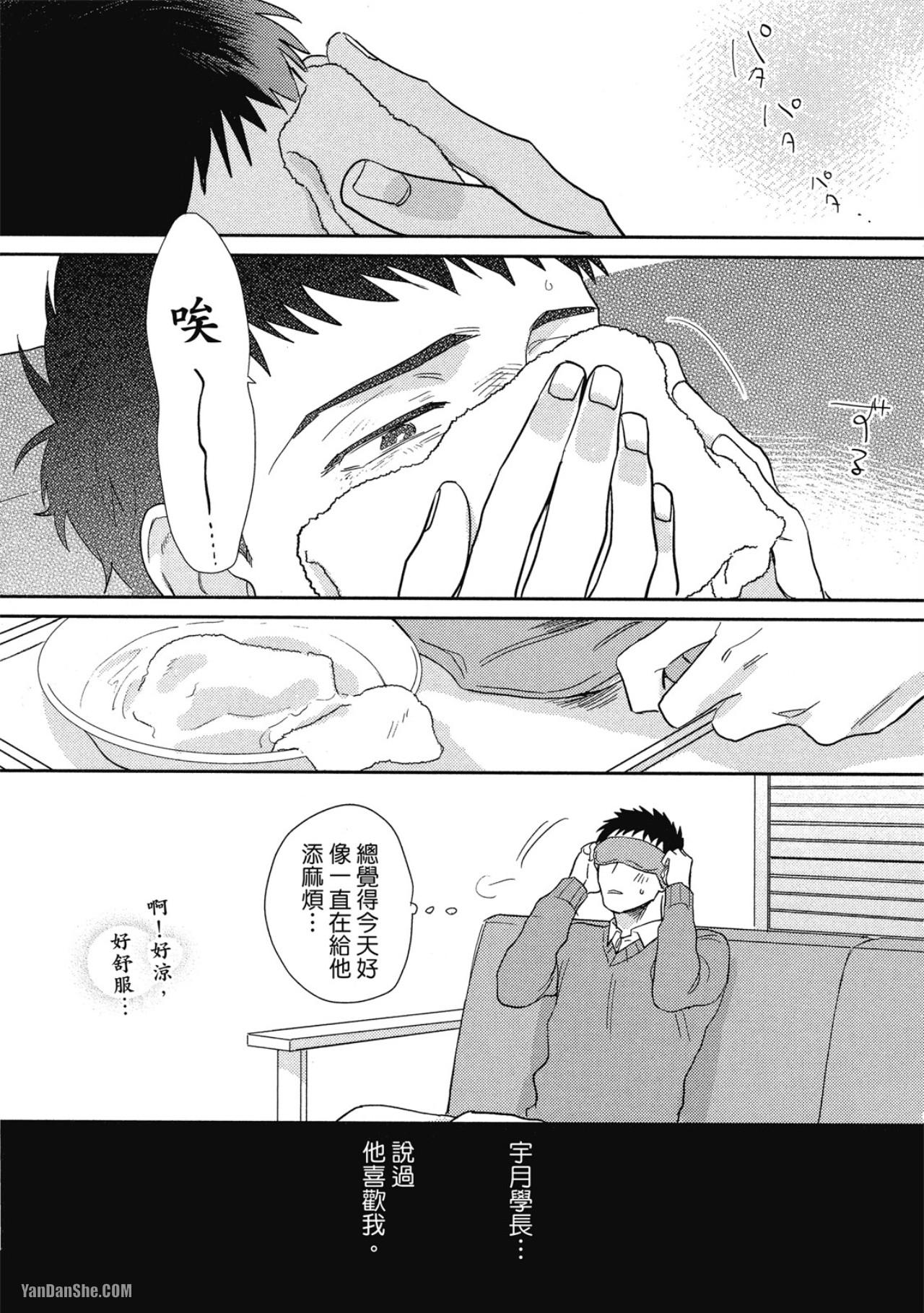 全集 95
