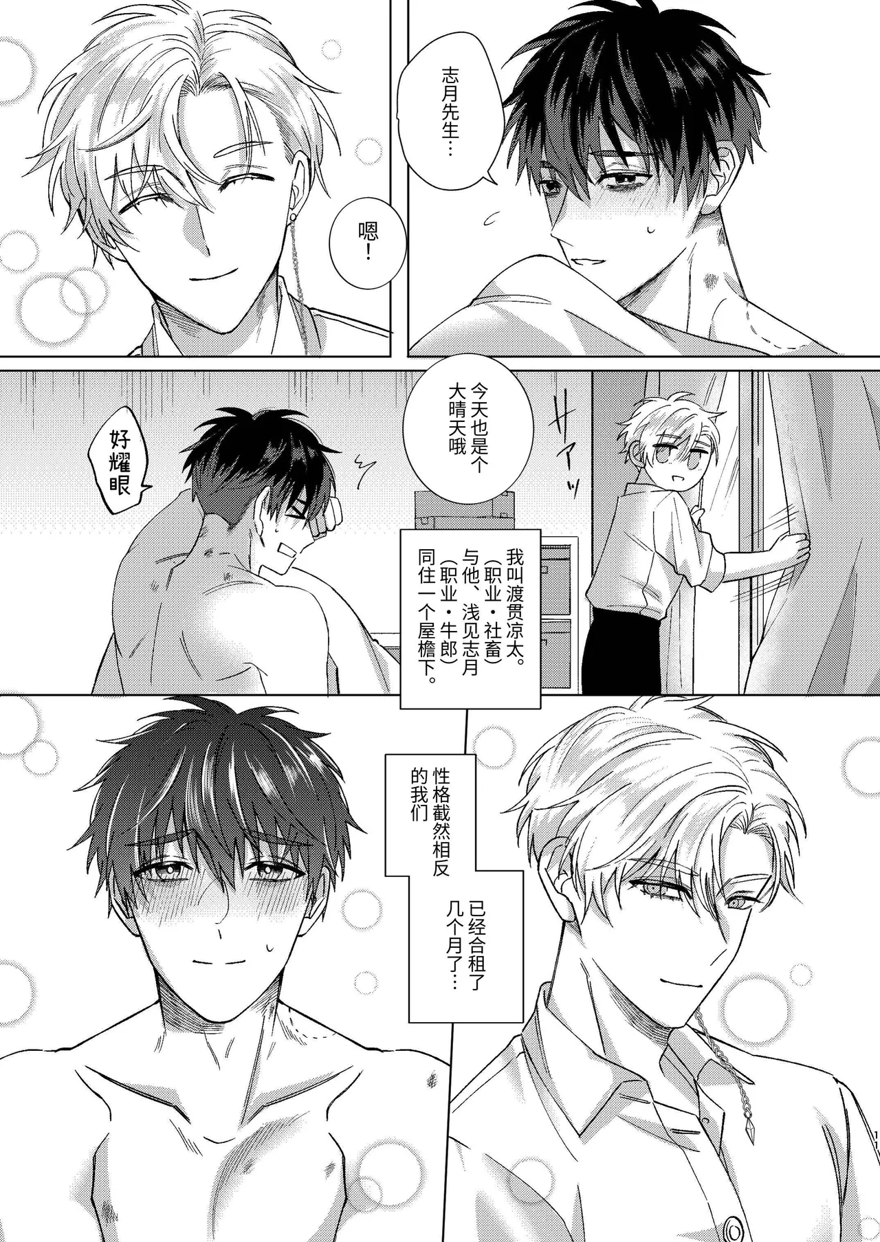 全集 11