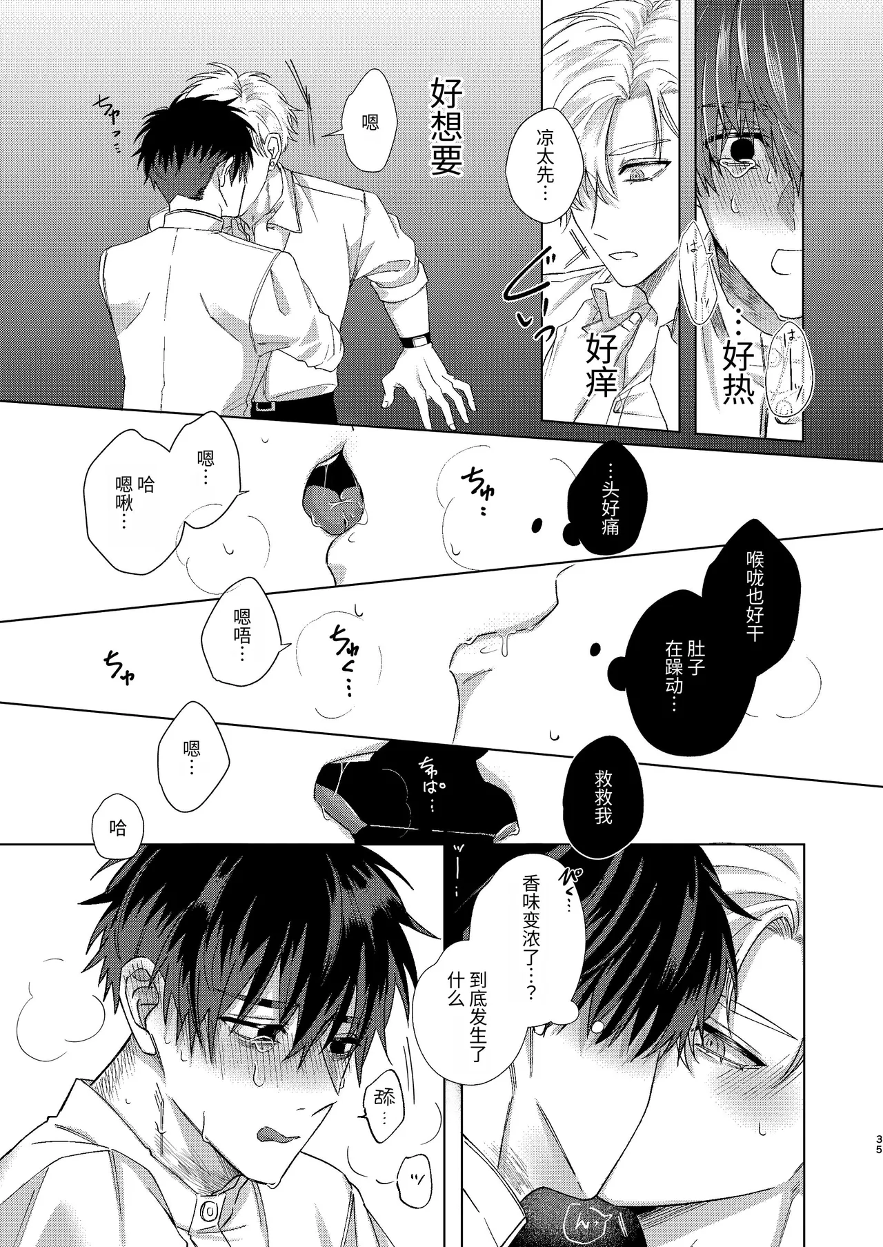 全集 35