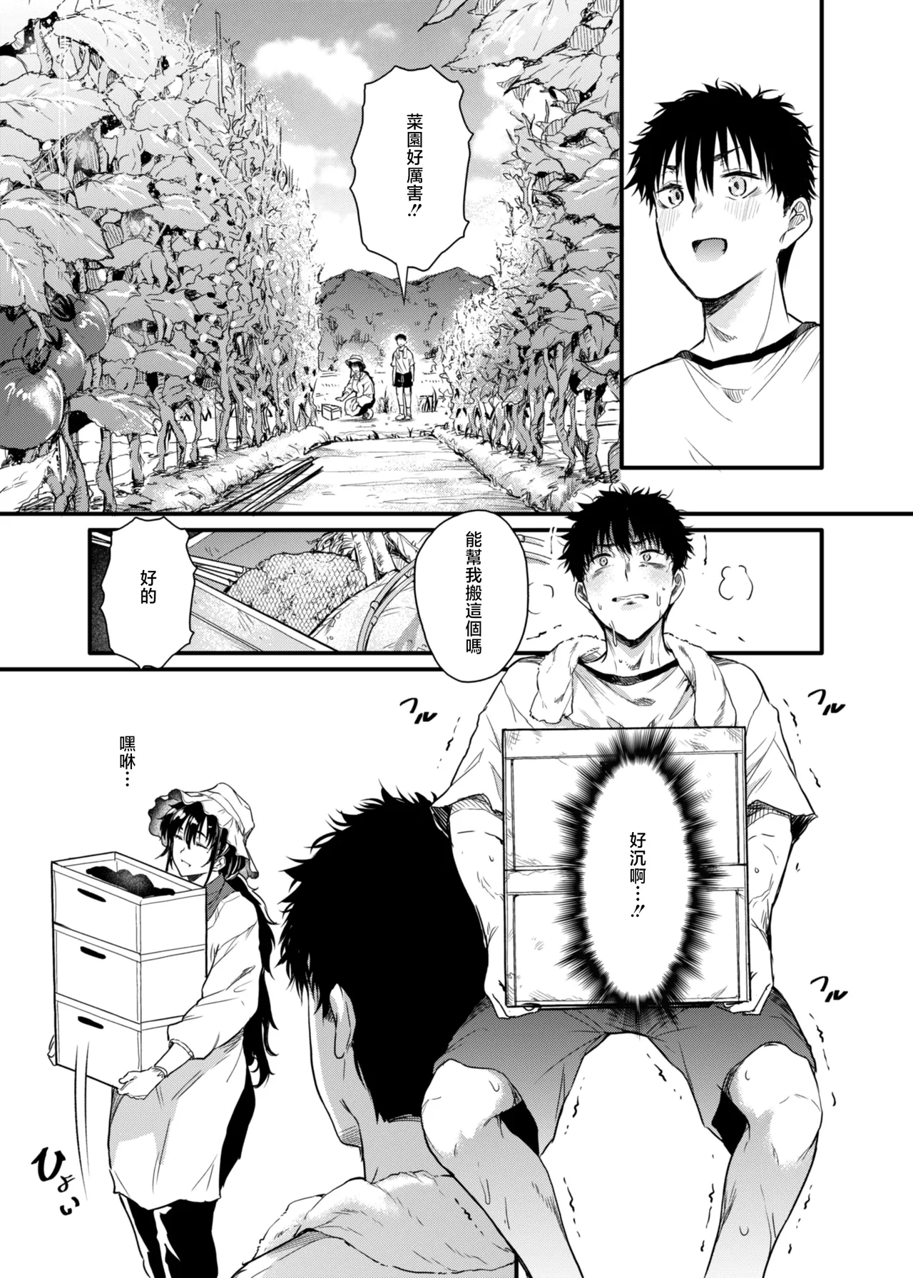 全集 14